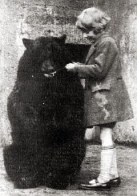 Медведица Винни в зоопарке. 1924